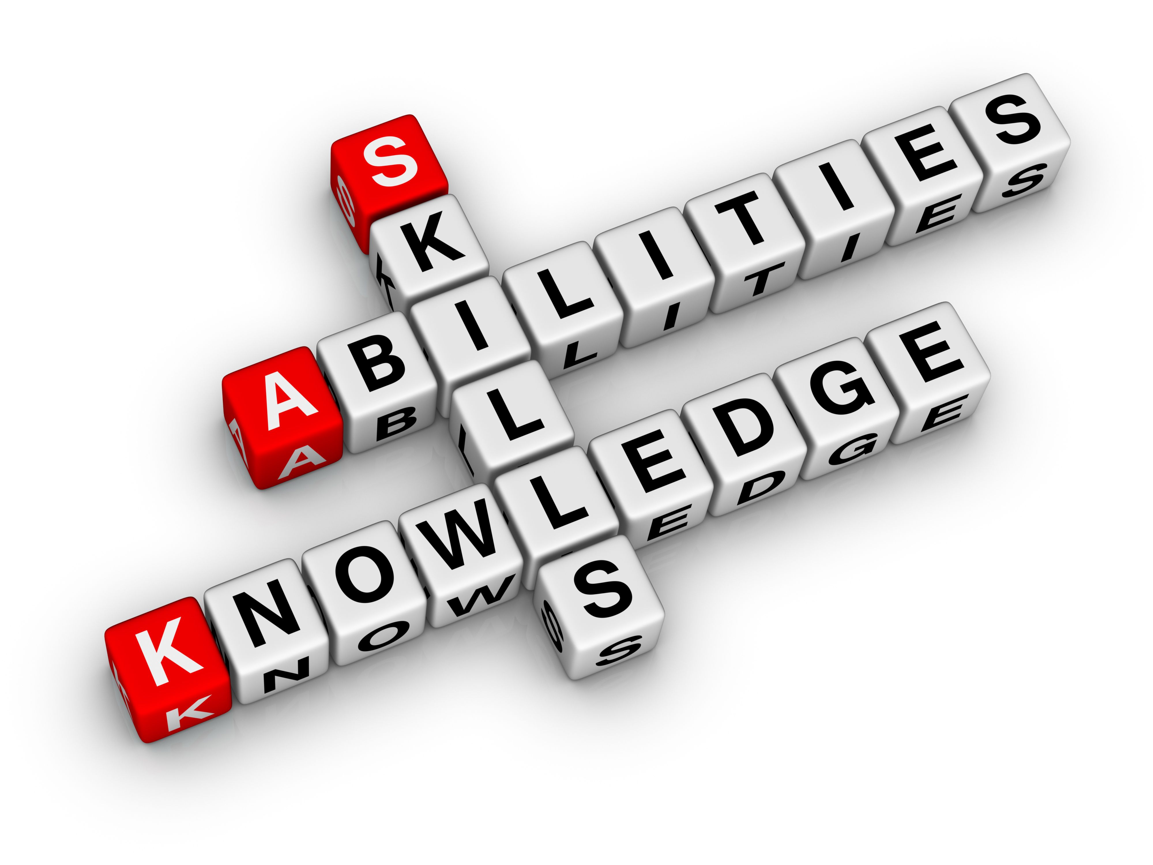 What Are Skills And Knowledge Examples