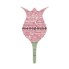 Menopause-Flower-With-Message2
